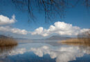 Legambiente del lago di Vico festeggia i suoi trent’anni “Ancora insieme…per un clima di pace”