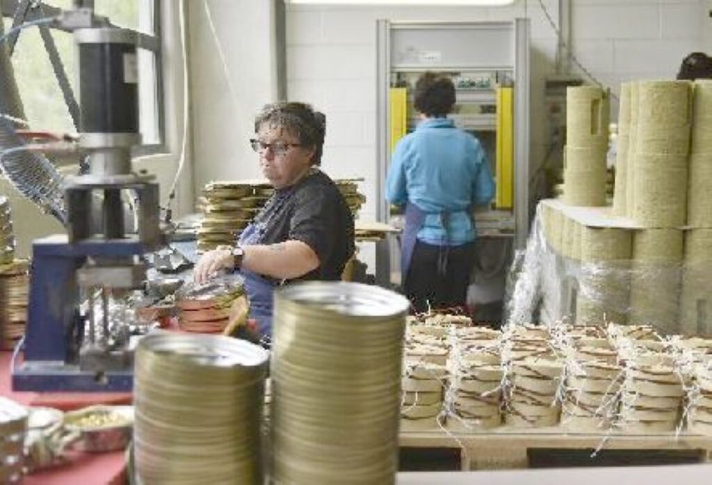 Export, Viterbo cresce del 17,4%: nel primo semestre vendite all’estero per 324 milioni