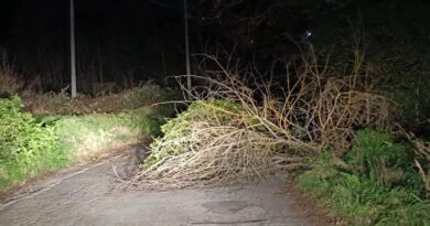 Il maltempo ed il vento forte fanno strage di alberi. Oggi è ancora allerta meteo ‘gialla’ su tutta la regione