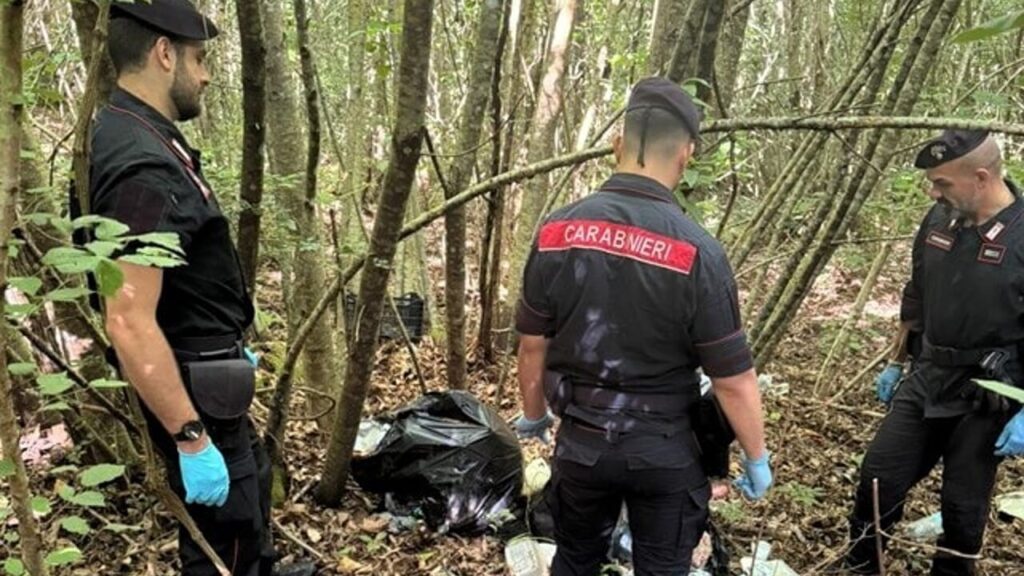 Blitz dei carabinieri a San Martino al Cimino e Orte, in azione anche lo squadrone “Cacciatori Calabria”