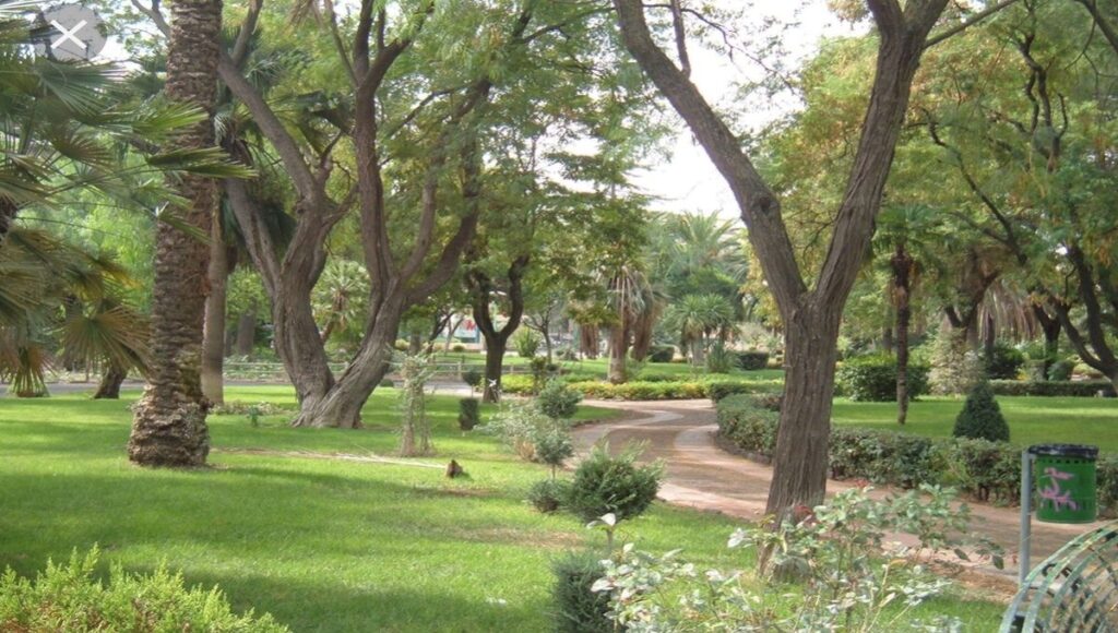 Viterbo “maglia nera” nel rapporto alberi/cittadini. 96esima nella classifica dell’Istat