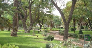 Viterbo “maglia nera” nel rapporto alberi/cittadini. 96esima nella classifica dell’Istat