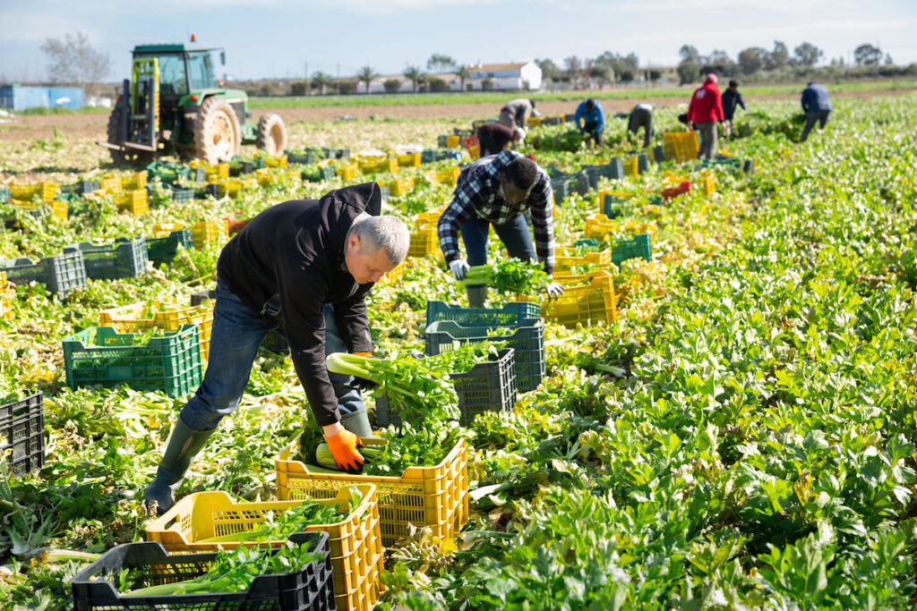 Viterbo e provincia le più agricole del centro Italia: un’impresa su tre lavora la terra. Settima in Italia